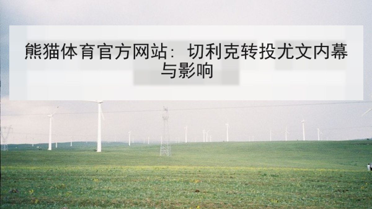 熊猫体育官方网站: 切利克转投尤文内幕与影响 熊猫体育官方网站: 切利克转投尤文内幕与影响