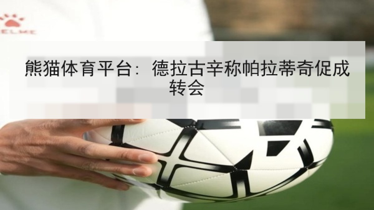 熊猫体育平台: 德拉古辛称帕拉蒂奇促成转会 熊猫体育平台: 德拉古辛称帕拉蒂奇促成转会