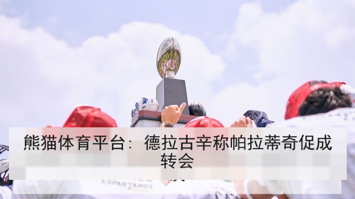 熊猫体育平台: 德拉古辛称帕拉蒂奇促成转会 熊猫体育平台: 德拉古辛称帕拉蒂奇促成转会